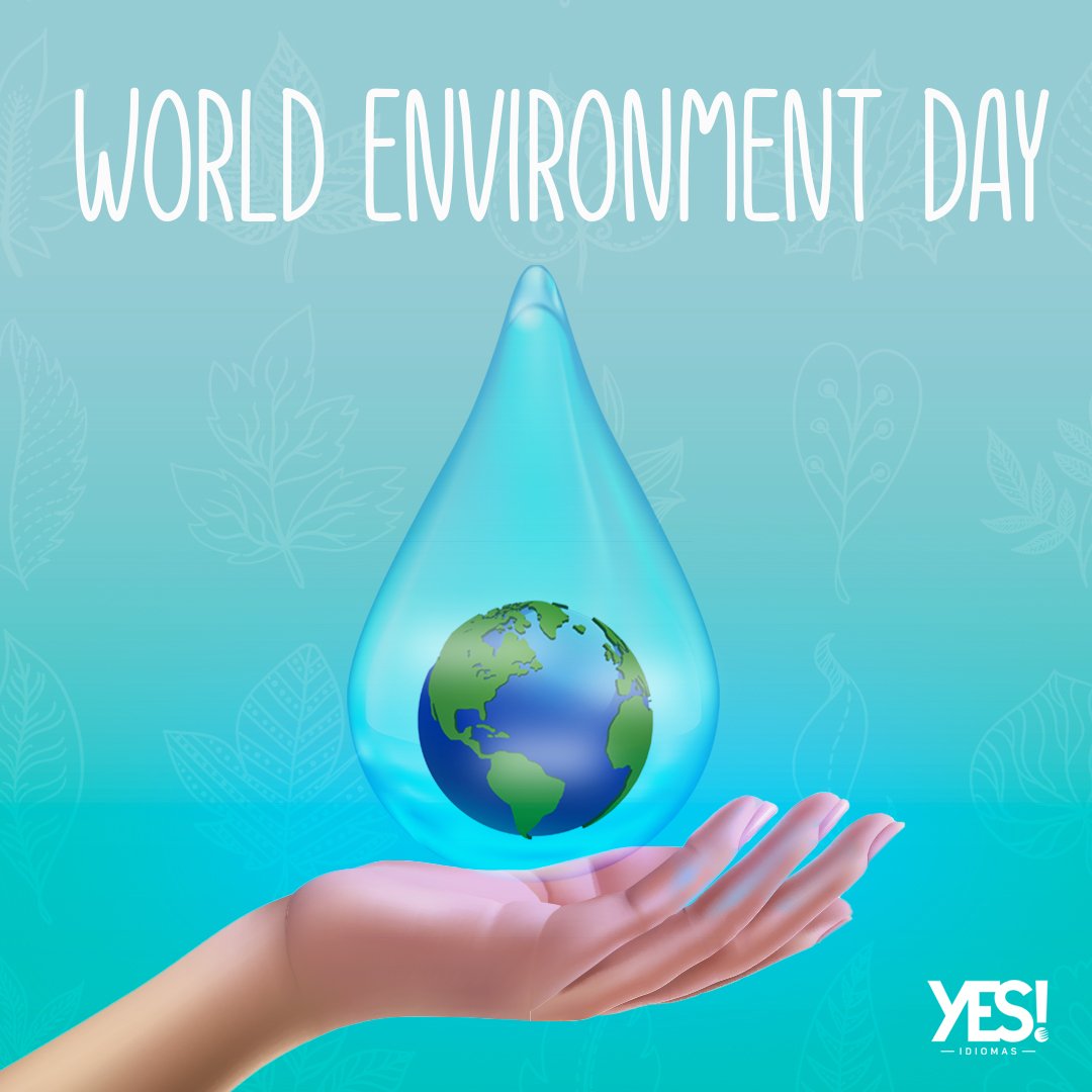 Dia Mundial do Meio Ambiente